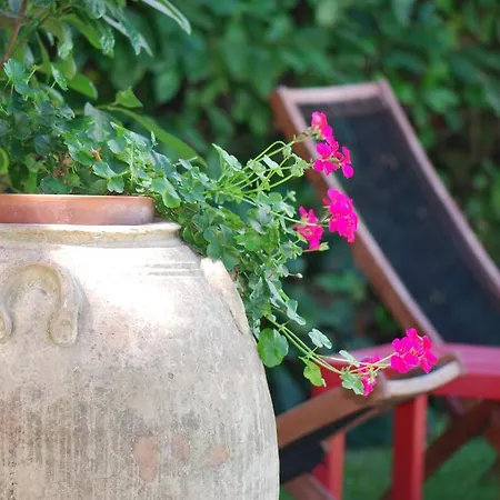 Bed & Breakfast Fiore *